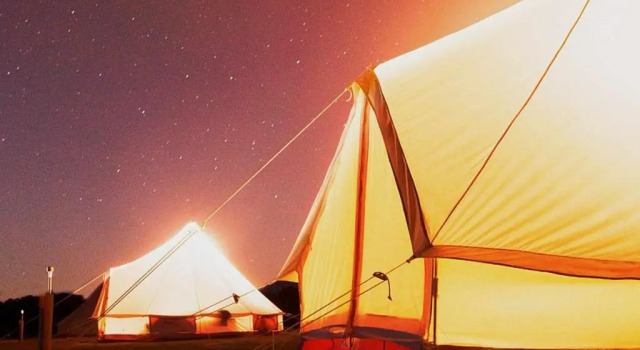 Coonawarra Bush Holiday Park, Buchen Sie Resort Coonawarra South Australia-Südaustralien
