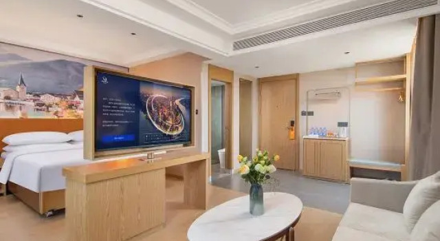 Люкс Vienna Hotel High Speed Rail South Station Normal University Branch