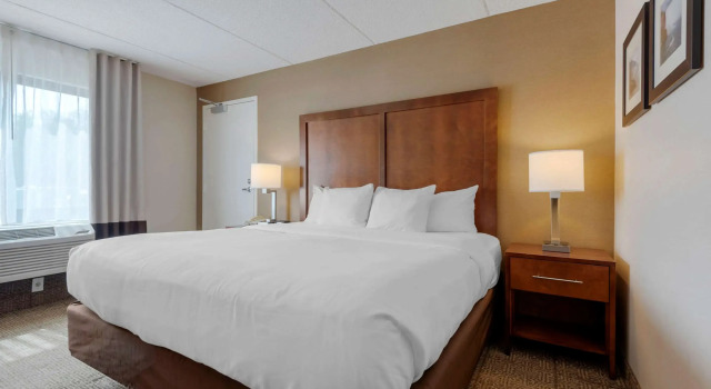 Двухместный номер Standard Comfort Inn The Pointe