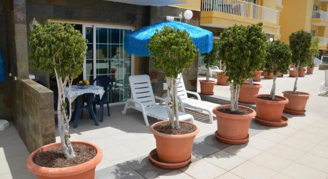 Апартаменты c 1 комнатой с видом на бассейн Villa del Mar