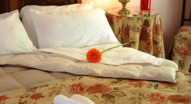 Двухместный номер Superior Hotel Beltran