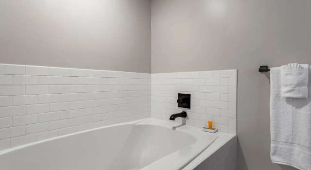 Двухместный люкс Hilton Vacation Club Hotel Blake Chicago