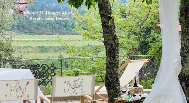 Amarante-Quinta D’Manuel Maria, Rural Charm Houses, Rezerwuj Willa Wille w Centro Region, Willa