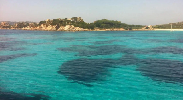 Апартаменты c 1 комнатой Club Esse Residence Capo Dorso