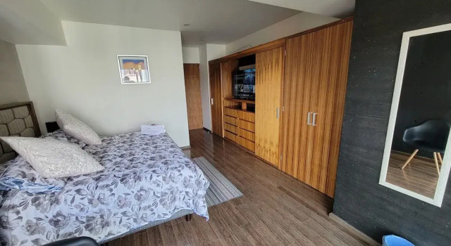 Номер Deluxe Del Parque Suites