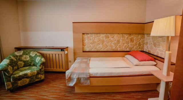 Одноместный номер Economy Garten-Hotel Ochensberger