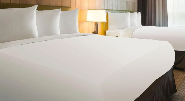 Четырёхместный номер Standard Country Inn & Suites by Radisson, Lewisburg, PA