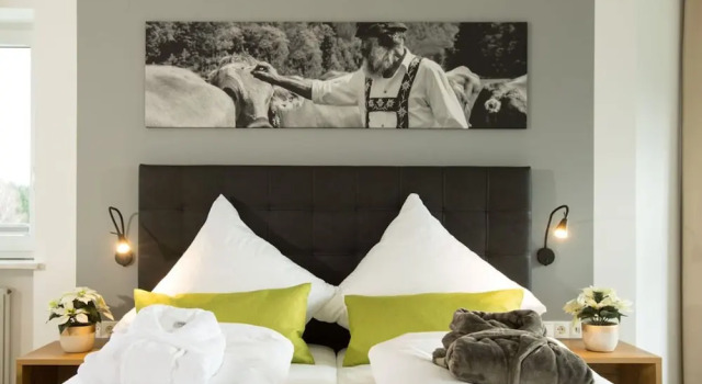 Двухместный номер Classic с балконом Hotel Tanneck