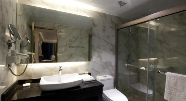 Номер Standard Lyz Business Hotel