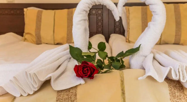 Двухместный номер Standard Family Hotel Teteven
