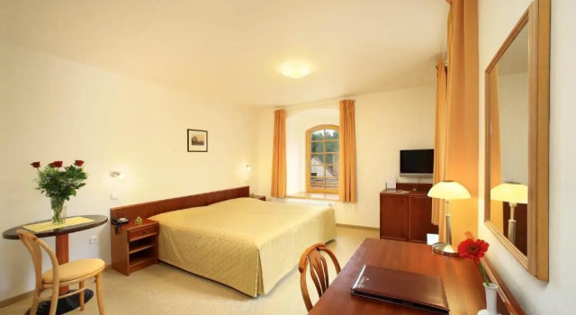 Двухместный номер Standard с видом на реку LH Hotel Mlýn