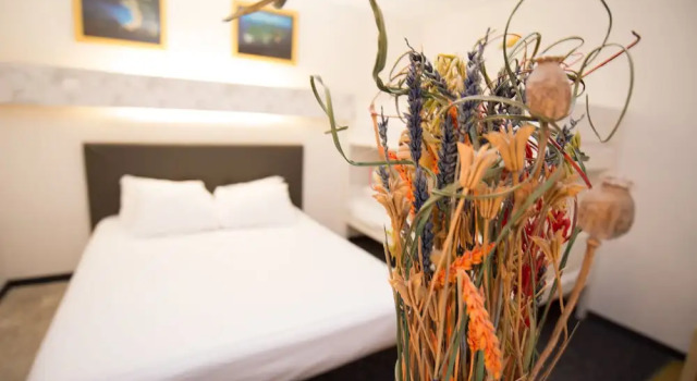 Одноместный номер Standard hôtel QUICK Palace Tours Nord