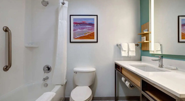 Четырёхместный номер Standard Hilton Garden Inn Tampa Northwest/Oldsmar