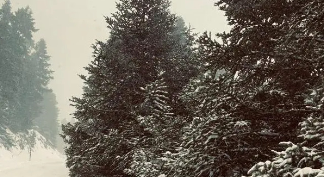 Шале Parnassos Snow Hill Chalet