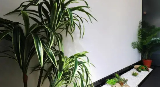 Tianjin Yishanshui Homestay, Prenota Hotel Tianjin Regione di Tianjin