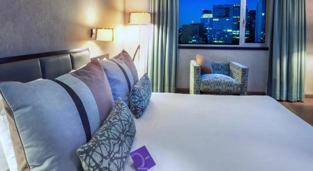 Двухместный номер Superior Mercure Santiago Centro