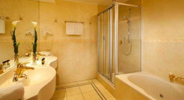 Люкс Vital Hotel Westfalen Therme Wellness Resort & SPA