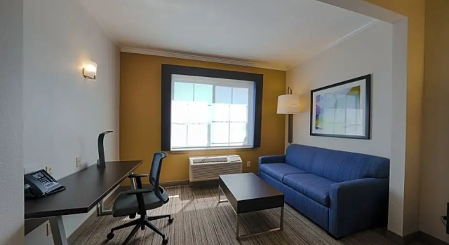 Люкс Standard Holiday Inn Express & Suites Santa Clara - Silicon Valley by IHG