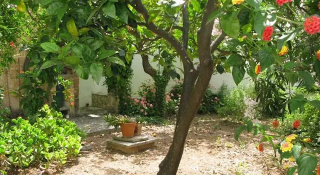 Vico Gagliani