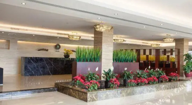 Люкс Deluxe Qiaodu Hotel (Jiangmen Light Rail Station)