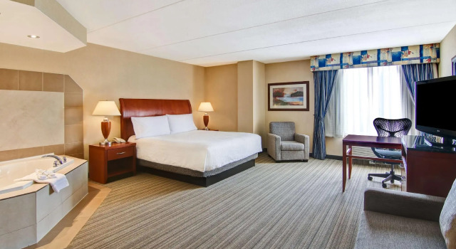 Двухместный номер Standard Hilton Garden Inn Toronto/Burlington