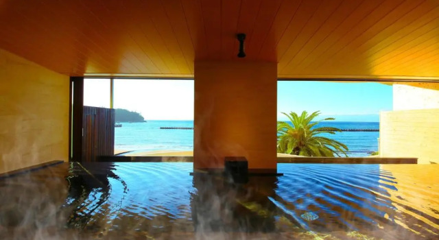 Номер Standard с видом на океан Ooedo Onsen Monogatari Toi Marine Hotel