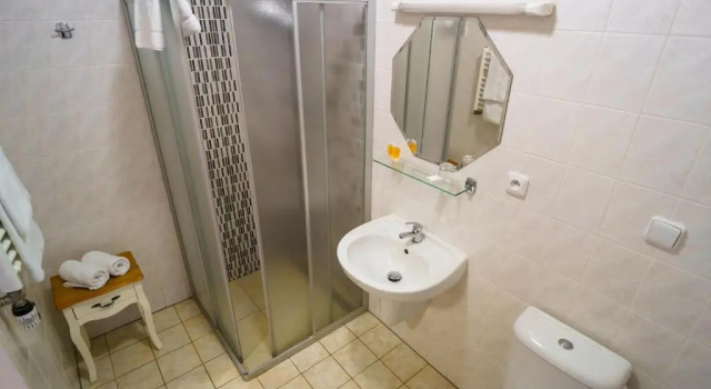 Номер Standard Hotel U Labutě