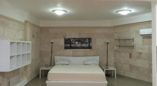 Студия Apartahotel Guaraguao