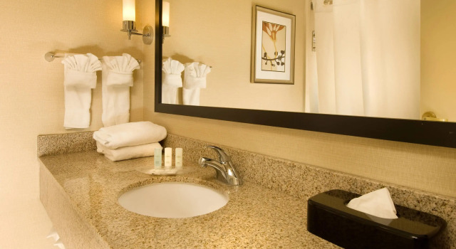 Двухместный люкс Business Comfort Suites Dulles Airport
