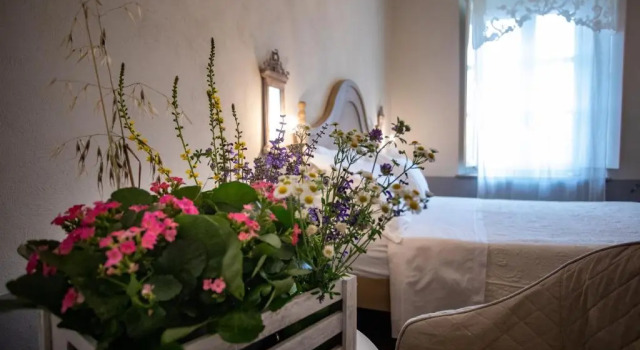 Номер Deluxe B&B Villa Ricardi