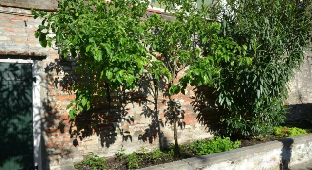 Апартаменты Ca' Ermina & Garden