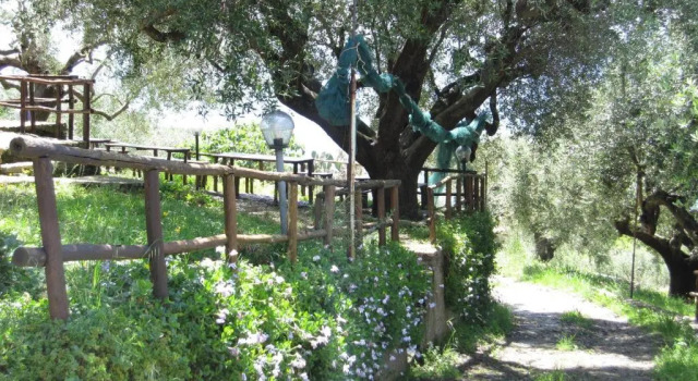 Agriturismo La Casa Vecchia, Prenota Hotel Ascea Cilento Coast