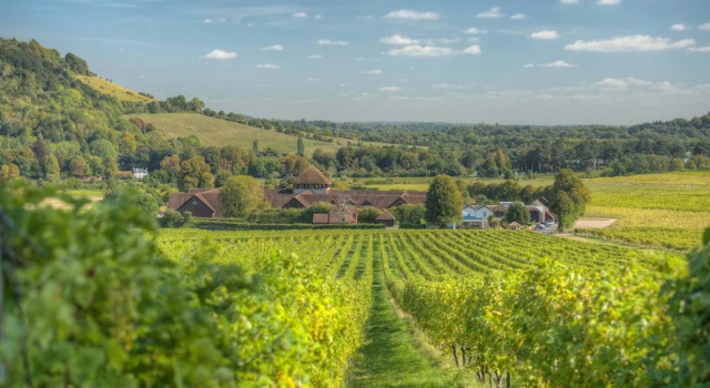 Denbies Farmhouse B&B, Забронировать Отель «постель и завтрак» Доркинг Суррей Хиллс