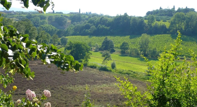Вилла Panoramic Villa in Tuscany Rolling Hill, Well Connected, Everyday new Journey to