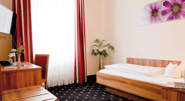 Одноместный номер Standard Hotel Panorama