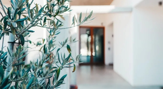 Montimerso Skyscape Countryhouse, Book Hotel Monsaraz Alentejo Central