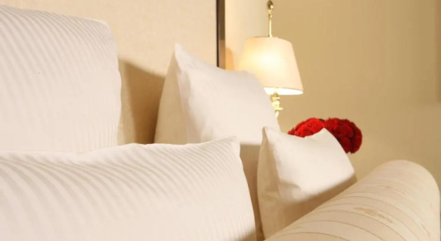Двухместный номер Executive Hotel Suitess