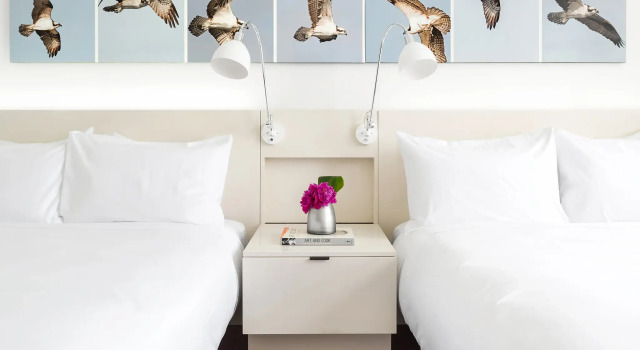 Номер Deluxe 21c Museum Hotel Lexington