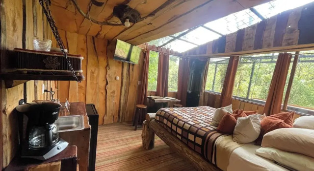 Номер Standard Poas Volcano Observatory Lodge & Glamping