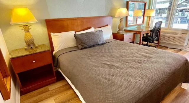 Одноместный номер Deluxe Geneva Hotel & Tiki Bar