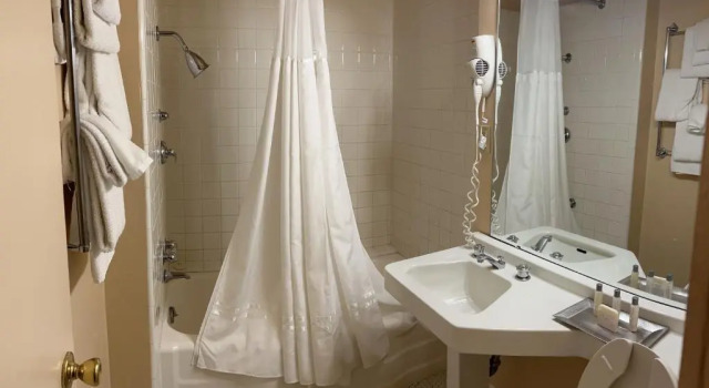 Двухместный номер Standard Arlington Resort Hotel & Spa