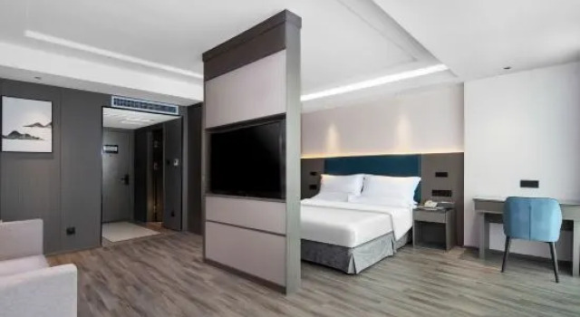 Люкс Business Ginza Hemei Hotel