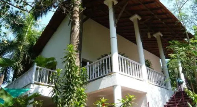 Michèle's Garden