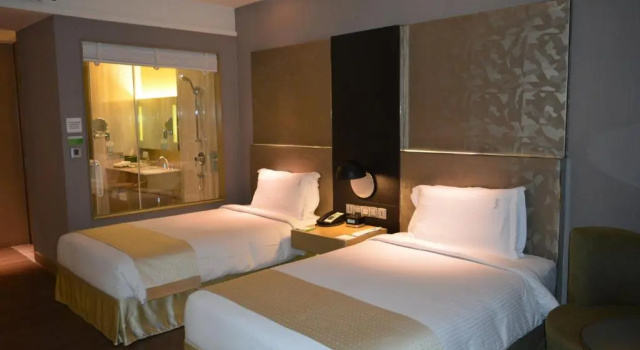 Двухместный номер для гостей с ограниченными возможностями Standard Holiday Inn New Delhi Aerocity by IHG