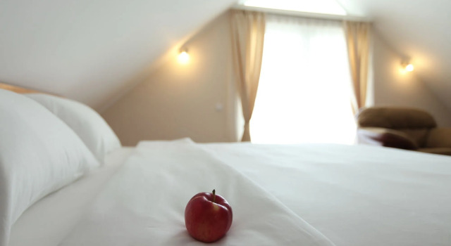 Hotel Novella Uno
