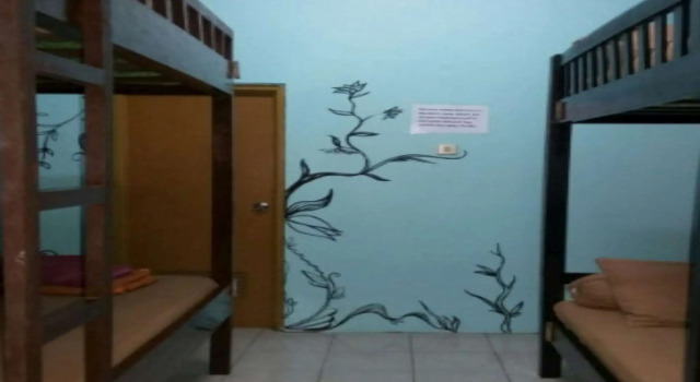 Кровать в общем номере Venezia Homestay and Garden