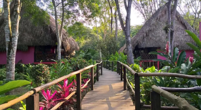 Полулюкс Las Guacamayas Lodge, Selva Lacandona, Chiapas México