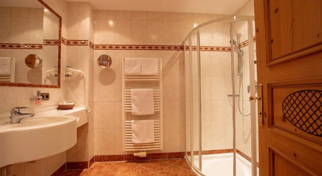 Номер Economy Laschenskyhof Hotel & Spa