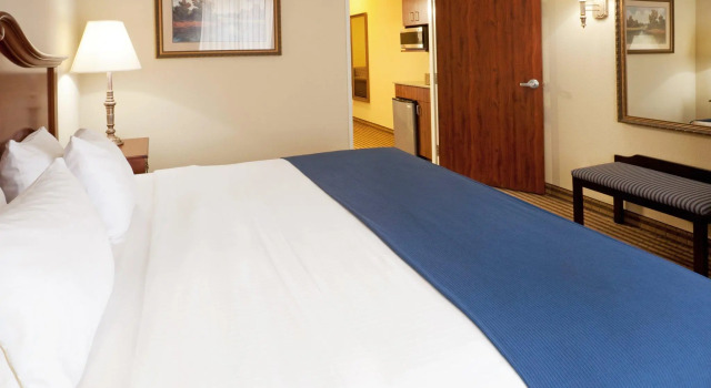 Двухместный люкс Holiday Inn Express & Suites Waxahachie by IHG