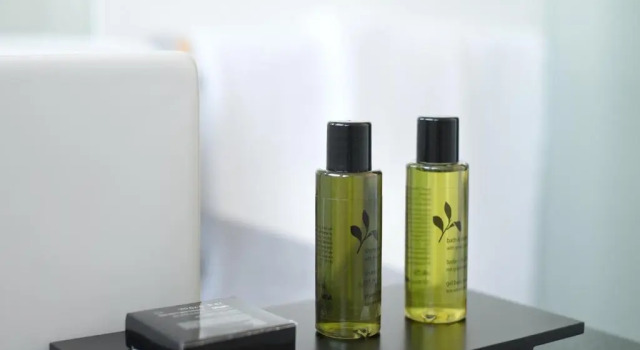 Одноместный номер Economy Boutique Hotel Bellevue Rheinfelden / Basel